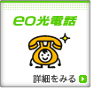 ���t�@�C�o�[��eo�i�C�I�j�@eo���d�b�i�ˌ������j