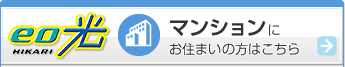 ���t�@�C�o�[��eo�i�C�I�j�@eo���i�}���V���������j