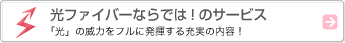���t�@�C�o�[�Ȃ�ł́I�̃T�[�r�X