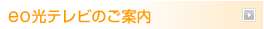 eo���e���r�̂��ē�