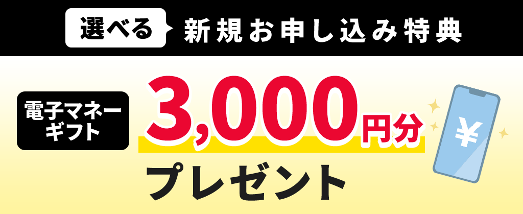 電子マネーギフトプレゼントキャンペーン