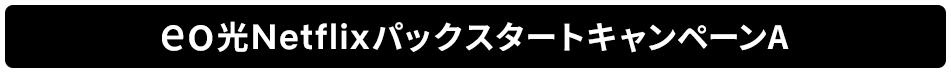 eo光NetflixパックスタートキャンペーンA.png