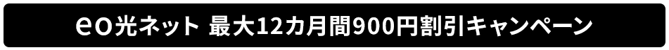 eo光ネット_最大12カ月間900円割引キャンペーン.png