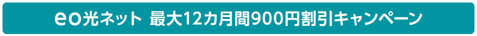 eo光ネット 最大12カ月間900円割引キャンペーン