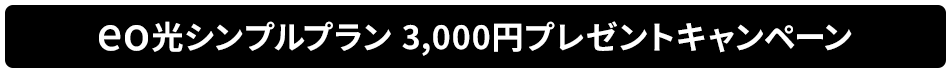 eo光シンプルプラン_3,000円プレゼントキャンペーン.png