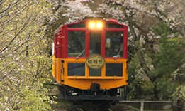 >#16 薄桃色の春を散らしながら走るトロッコ列車