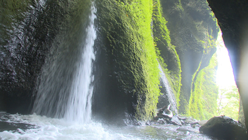 #9 苔むした洞窟の中を流れ落ちる神秘的な滝