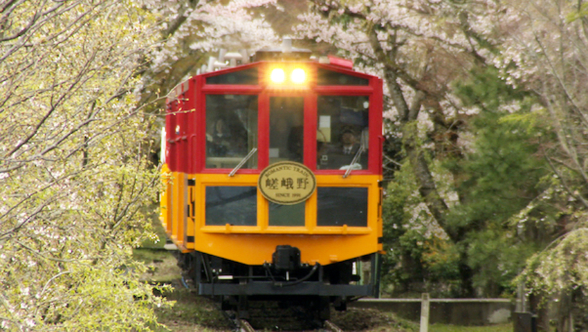 #16 薄桃色の春を散らしながら走るトロッコ列車