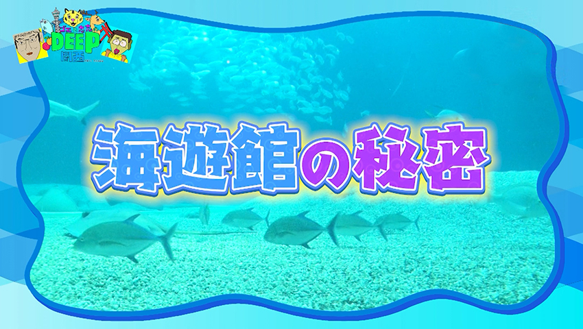 #136 大阪定番スポットの魅力再発見！進化が止まらない海遊館のイマを調査！