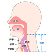 咽喉頭異常感症とは 咽喉頭異常感症 ドクター S コラム Eo健康