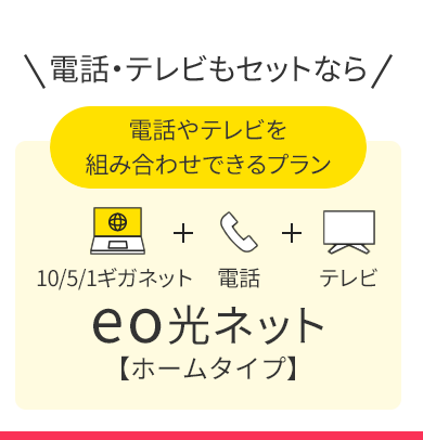 電話やテレビを組み合わせできるプラン eo光ネット【ホームタイプ】
