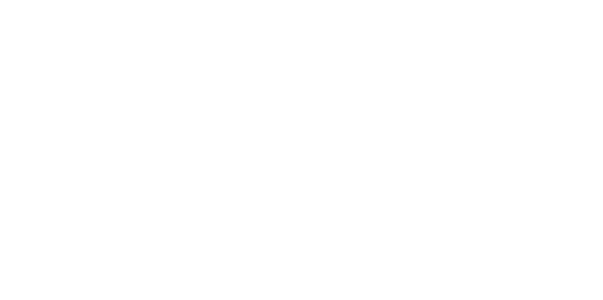 各自、自由に観察してお楽しみください