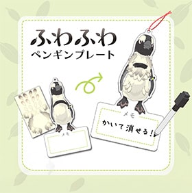 ふわふわペンギンプレート 画像