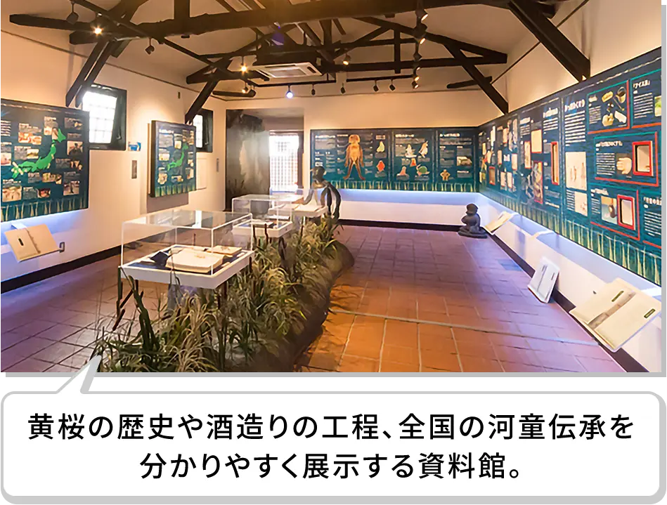 黄桜の歴史や酒造りの工程、全国の河童伝承を分かりやすく展示する資料館。