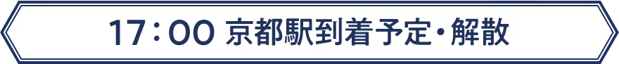 17：00 京都駅到着予定・解散
