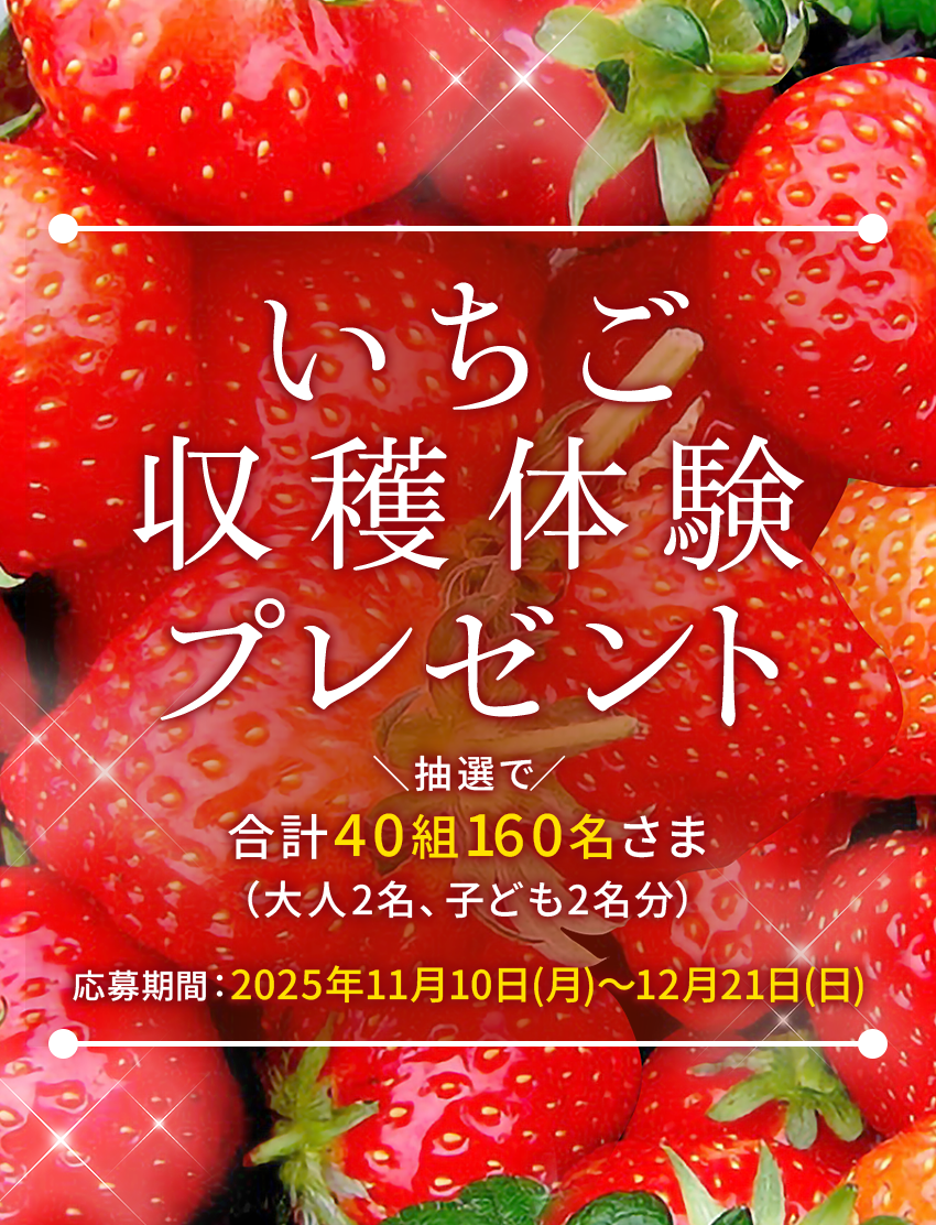 いちご収穫体験プレゼント 抽選で 合計40組 160名さま（大人2名、子ども2名分）