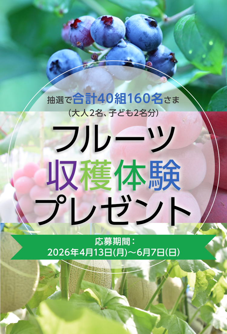 フルーツ収穫体験プレゼント 抽選で合計40組 160名さま(大人2名、子ども2名分)
