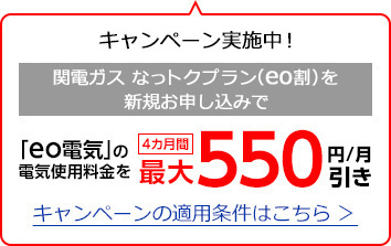 おトクなキャンペーン実施中！関電ガス eo割を新規お申し込みで「eo電気」の電気使用料金を4カ月間500円/月引き