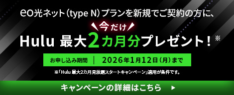 Hulu 最大2カ月見放題スタートキャンペーン