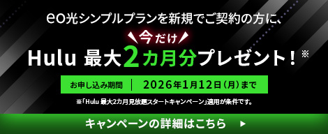Hulu 最大2カ月分プレゼント!