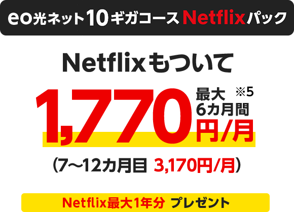 eo光ネット10ギガコースNetflixパック Netflixもついて最大6カ月間1,770円/月※5（7〜12カ月目 3,170円/月）