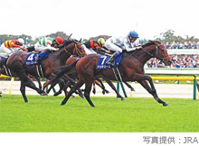 中央競馬 全レース中継