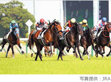 栄光の名馬たち シャフリヤール