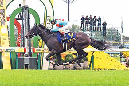 中央競馬全レース中継