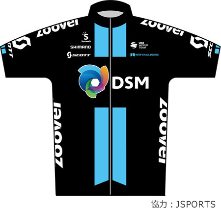 チーム ディーエスエム（オランダ）