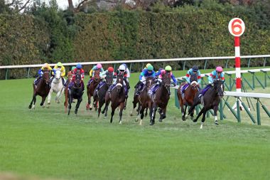 グリーンチャンネル開局30周年記念番組