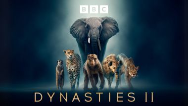 BBC超大作 動物王国記 シーズン2