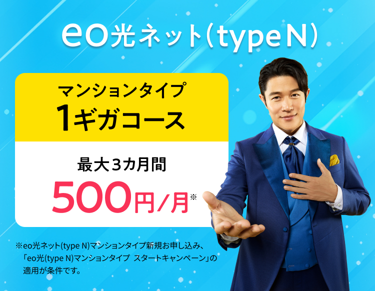 eo光ネット(type N)